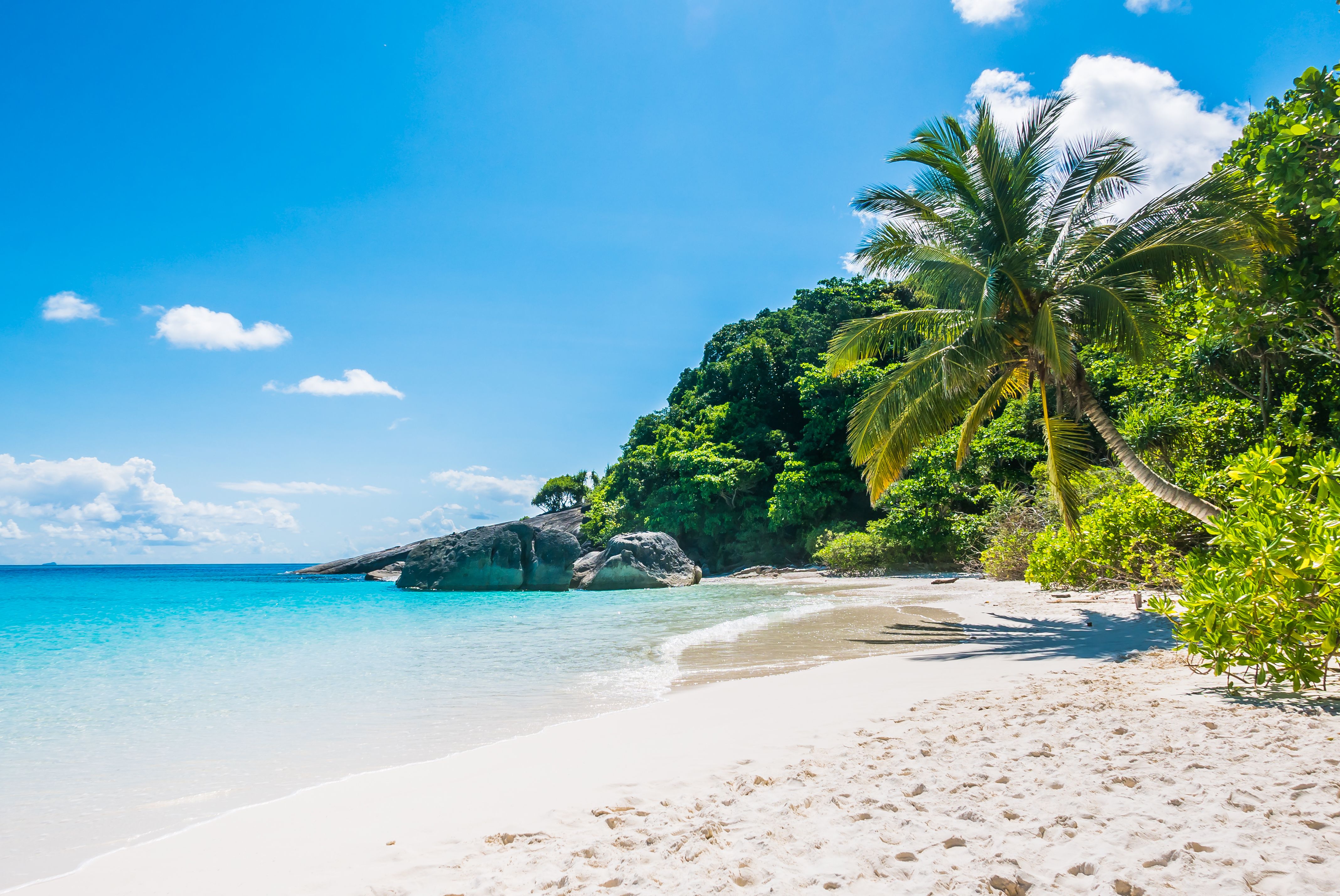 tropical-beach-with-white-sand.jpg